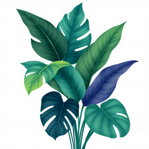 Botanical Illustration Of Tropical Leaves In Modern Style